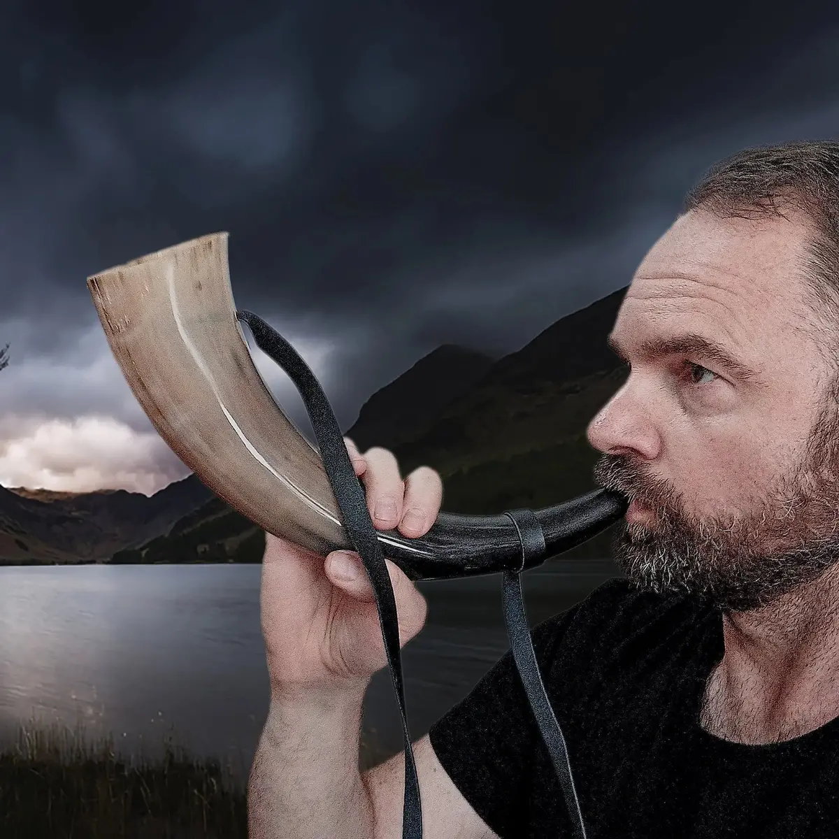 Small Polished Viking Blowing Horn / Bugle 1