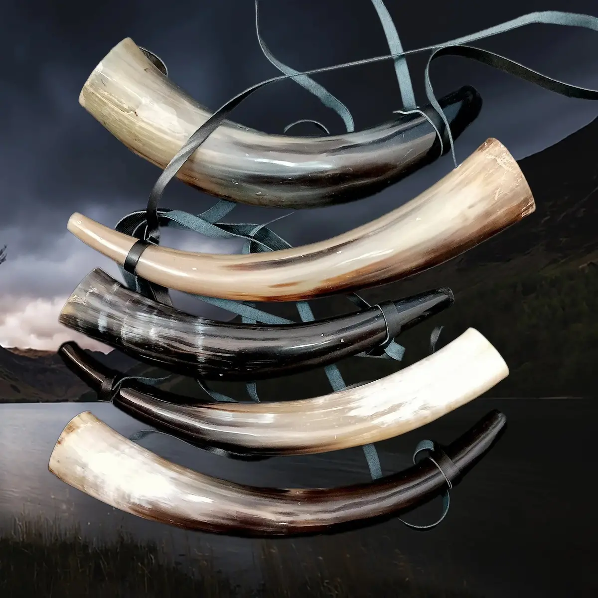 Medium Polished Viking Blowing Horn / Bugle 2