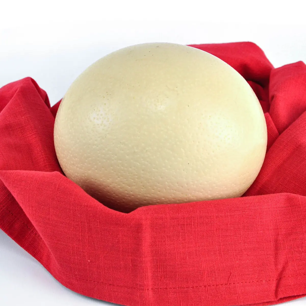 Ostrich Egg (Fresh) Seasonal 1