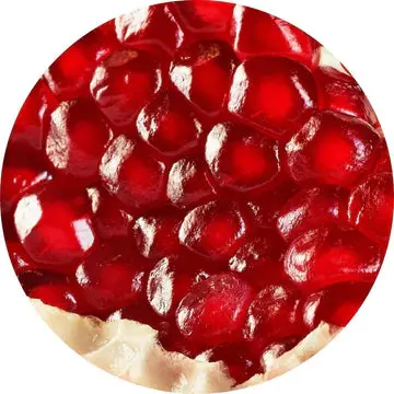 Pomegranate Carrier Oil - Living Libations 1