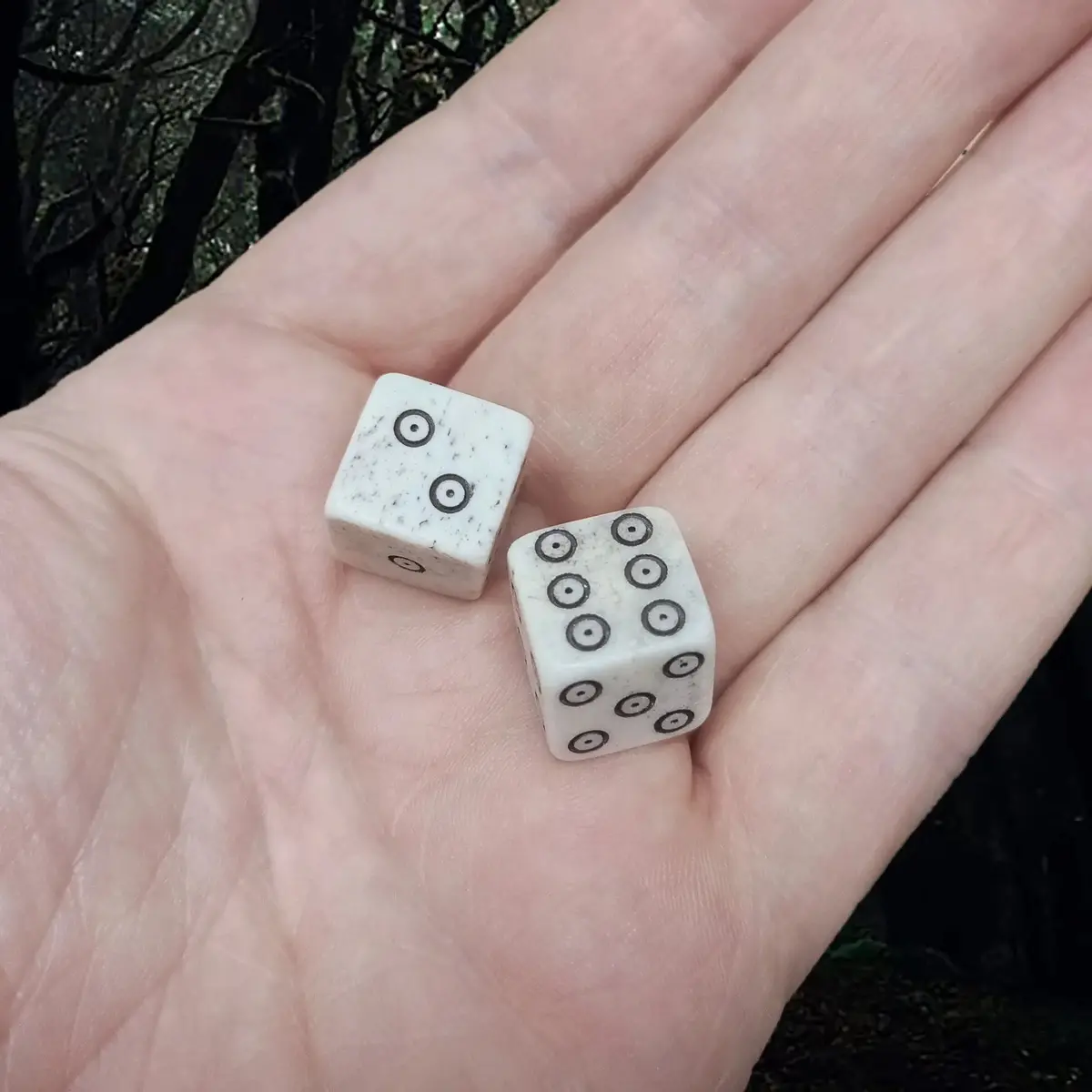 Viking Age Replica Cow Bone Dice With Dot And Ring Marks - Large Size 3