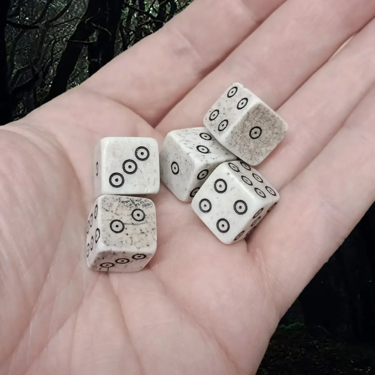 Viking Age Replica Cow Bone Dice With Dot And Ring Marks - Large Size 3