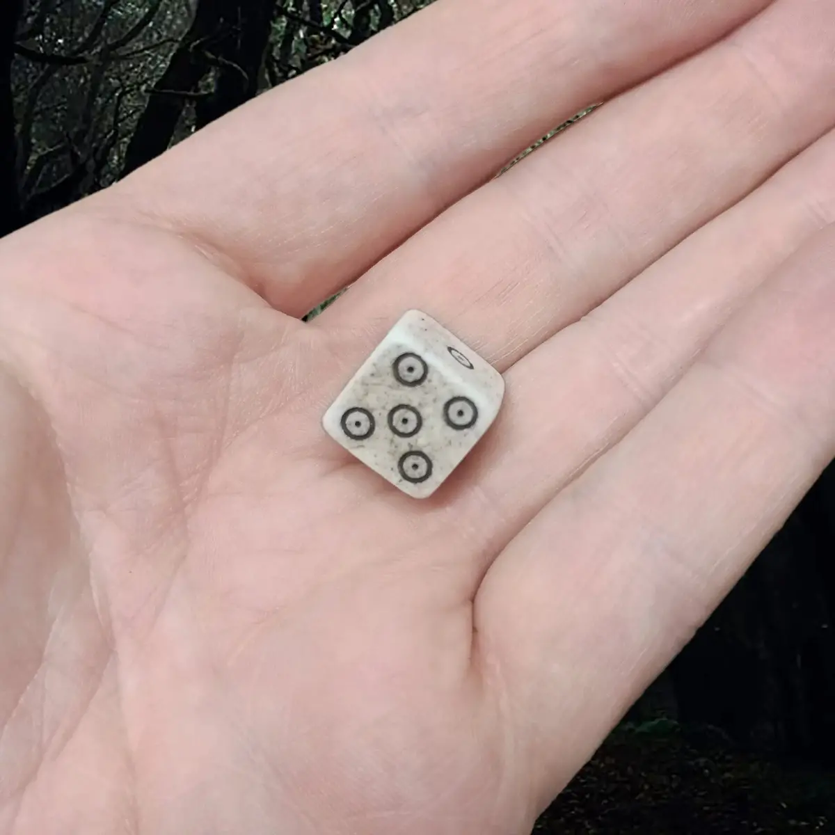 Viking Age Replica Cow Bone Dice With Dot And Ring Marks - Large Size 1