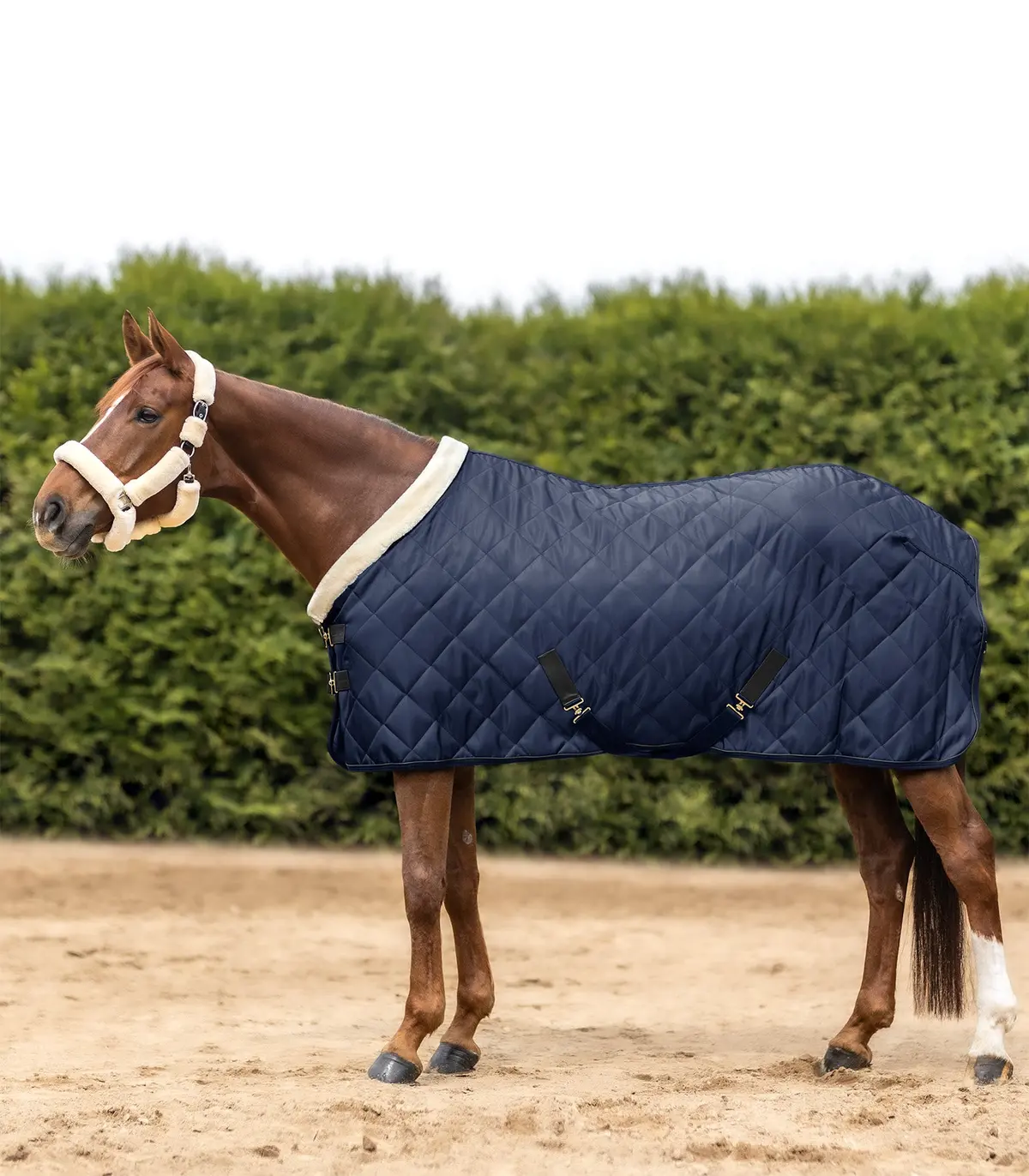 Waldhausen Exclusive Show/Stable Rug Night Blue 1