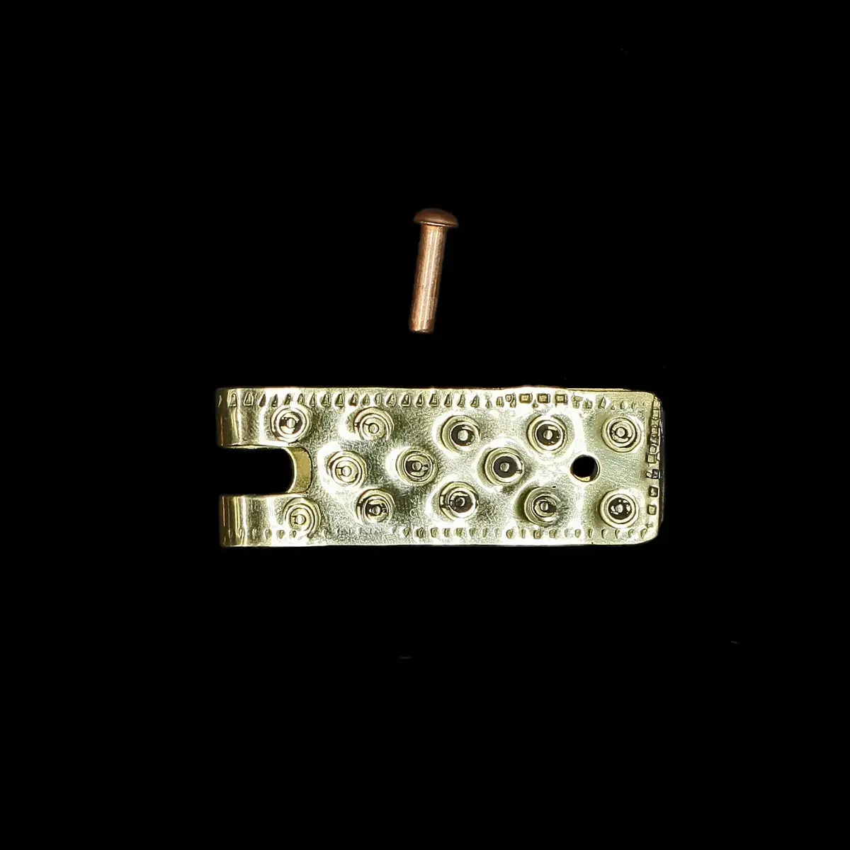 Embossed Brass Buckle Plate 2