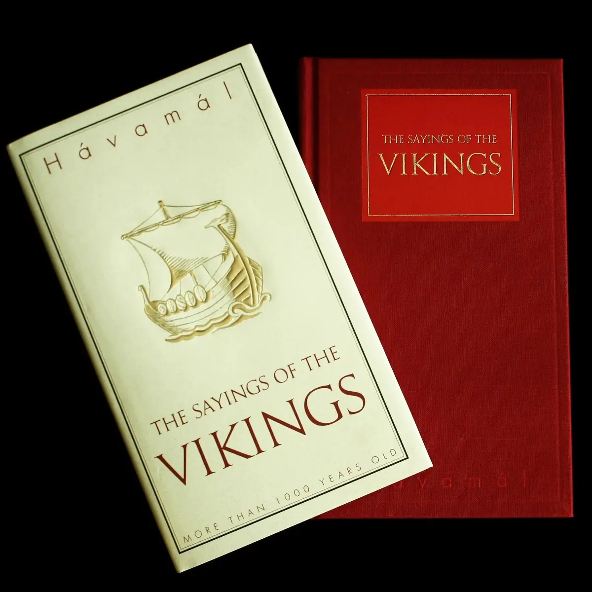 The Sayings Of The Viking Book - Hardback Version 1