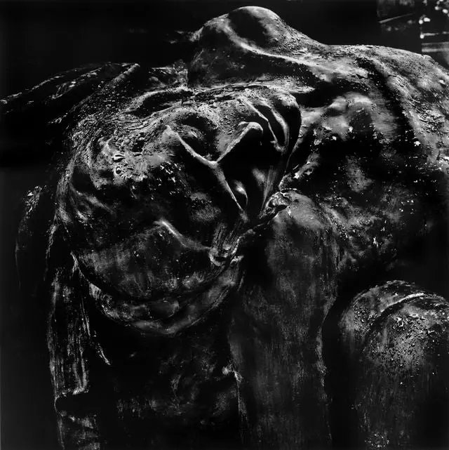 Sort Kristus: Pieta. Cimetero Del Verano, Roma, Italia 1