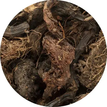 Spikenard Essential Oil - Living Libations 1