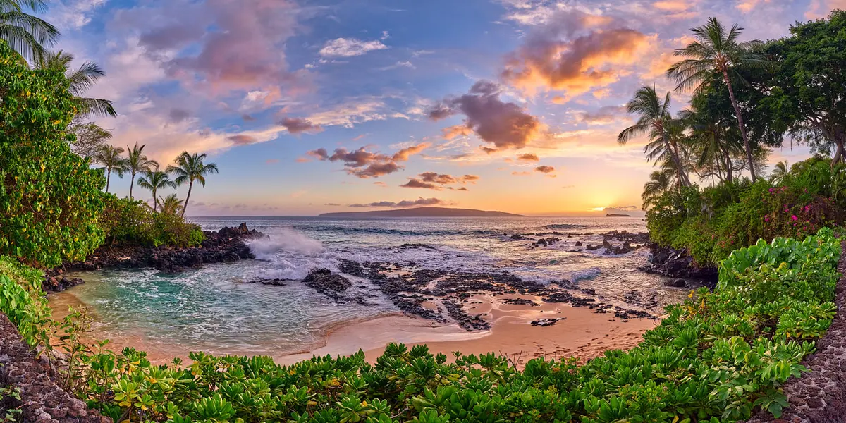 The Cove By Andrew Shoemaker 1