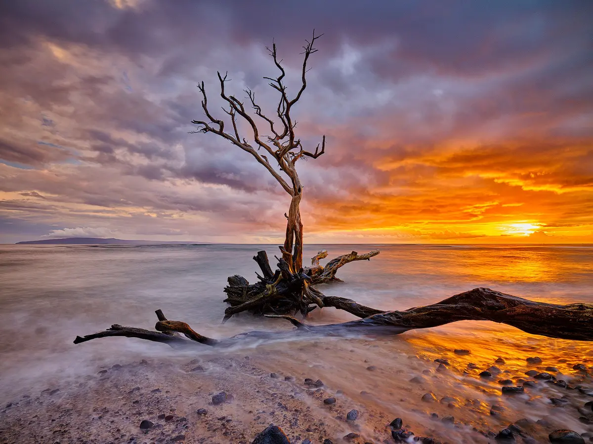 The Rest By Andrew Shoemaker 1