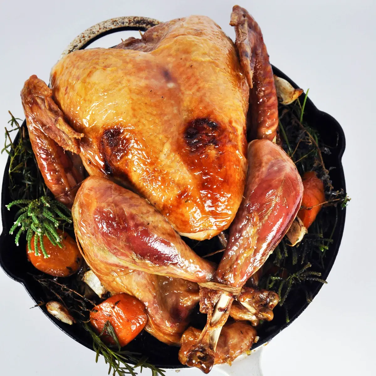 Turkey Whole Bird | 9 Lbs. - 27 Lbs. 3