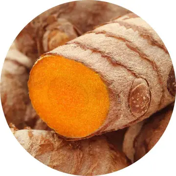 Turmeric Essential Oil - Living Libations 1