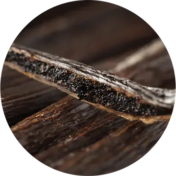 Vanilla Essential Oil - Living Libations 1