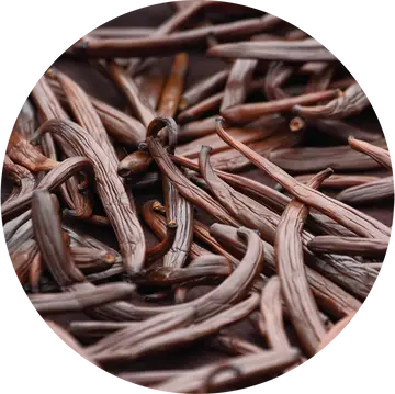 Vanilla Fusion Carrier Oil - Living Libations 1