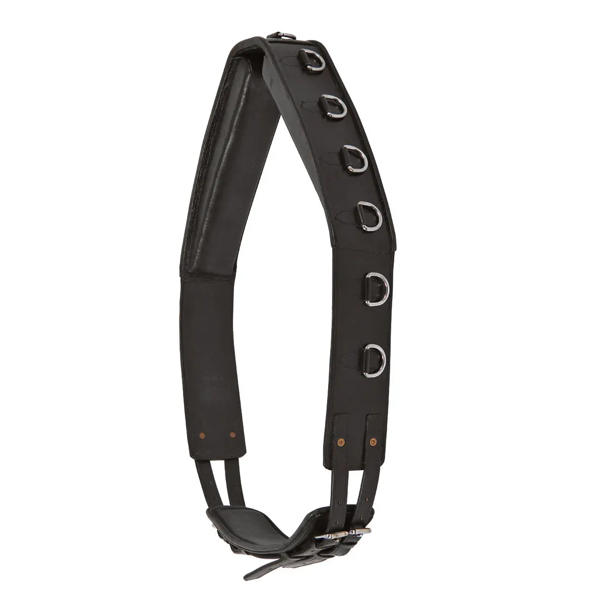 Waldhausen Lunging Surcingle Leather Star Black Full 1