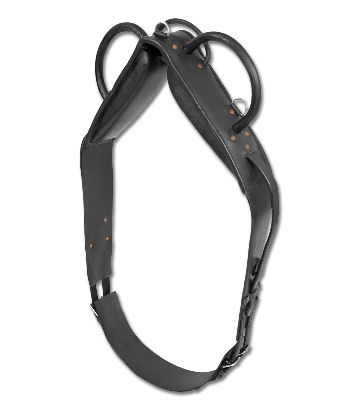 Waldhausen Competition Vaulting & Lunging Surcingle Black Full 2