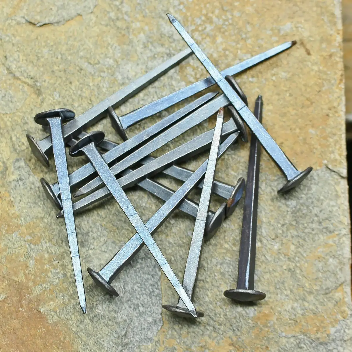 Steel Shield Rivets / Nails - Large - 50Mm (2 Inch). 1