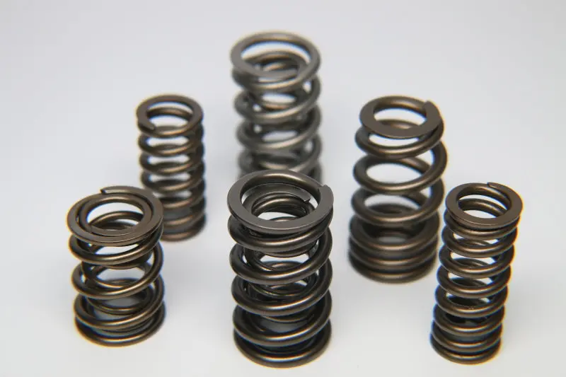 Ferrea Single Valve Spring Set – 24-Piece For Ford Ecoboost 3.5L Engines 1